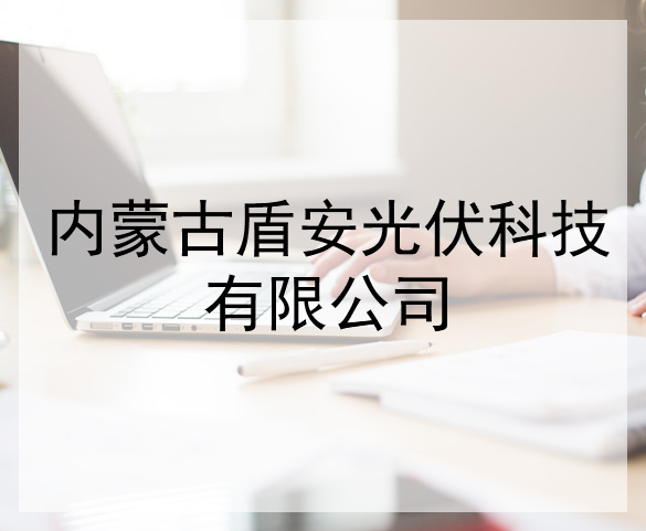 内蒙古盾安光伏科技有限公司